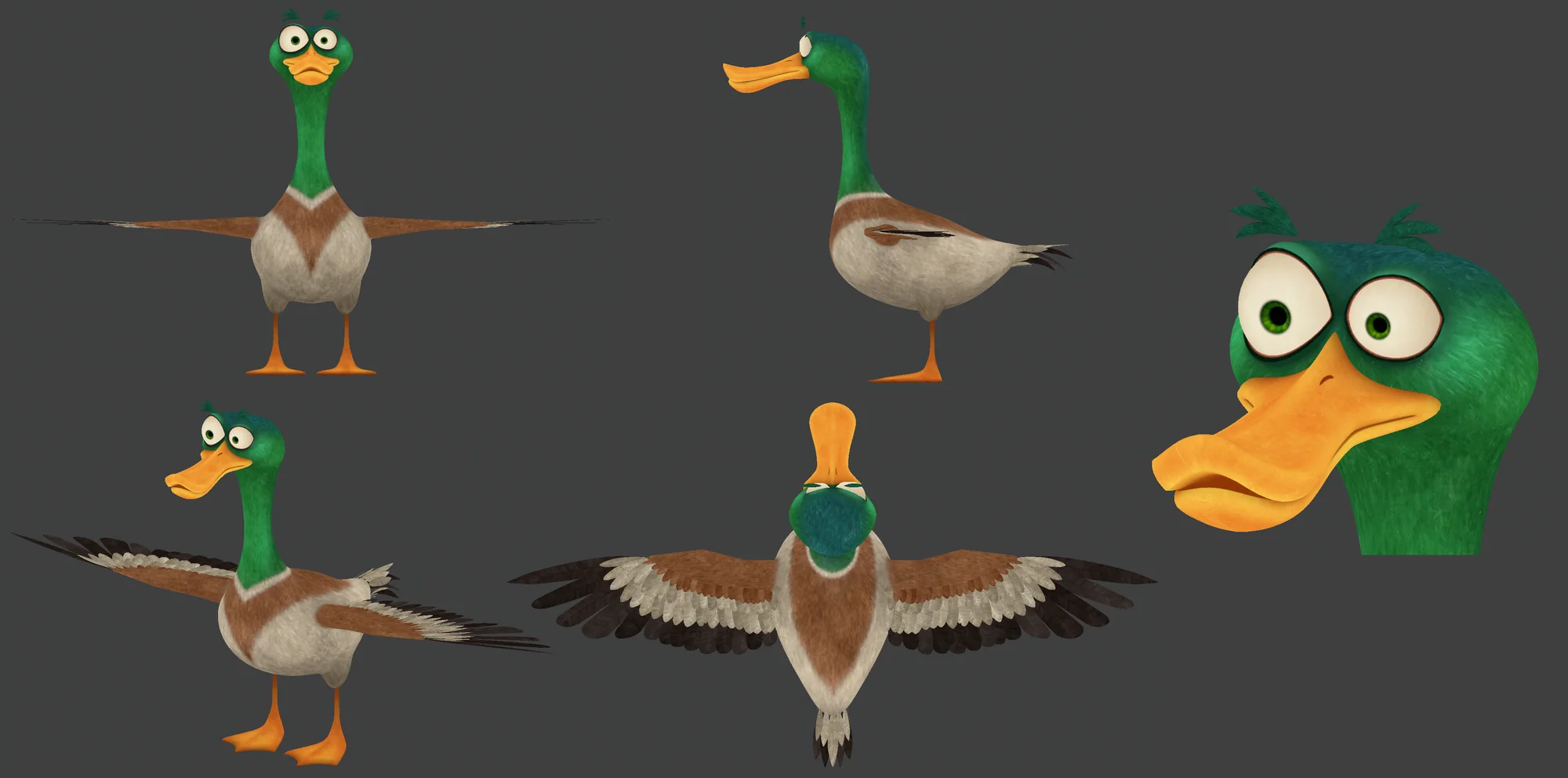 Duck character modeling and expression studies